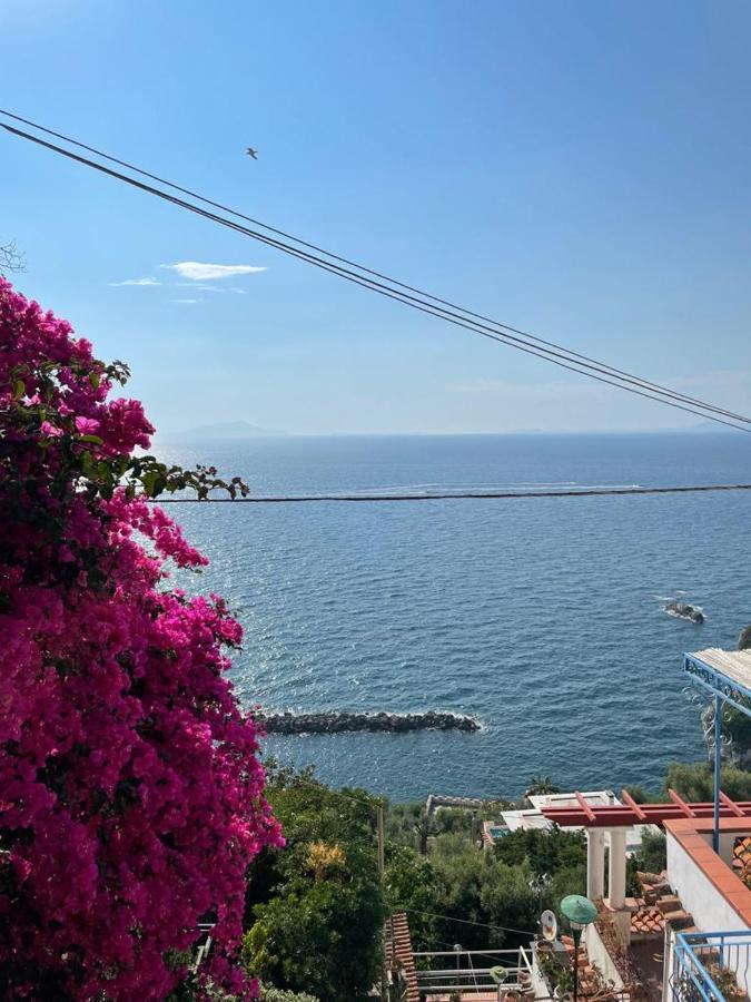 La Rosa Dei Venti Villa มัสซาลูเบรนเซ ภายนอก รูปภาพ